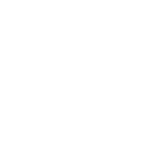 SFL logo