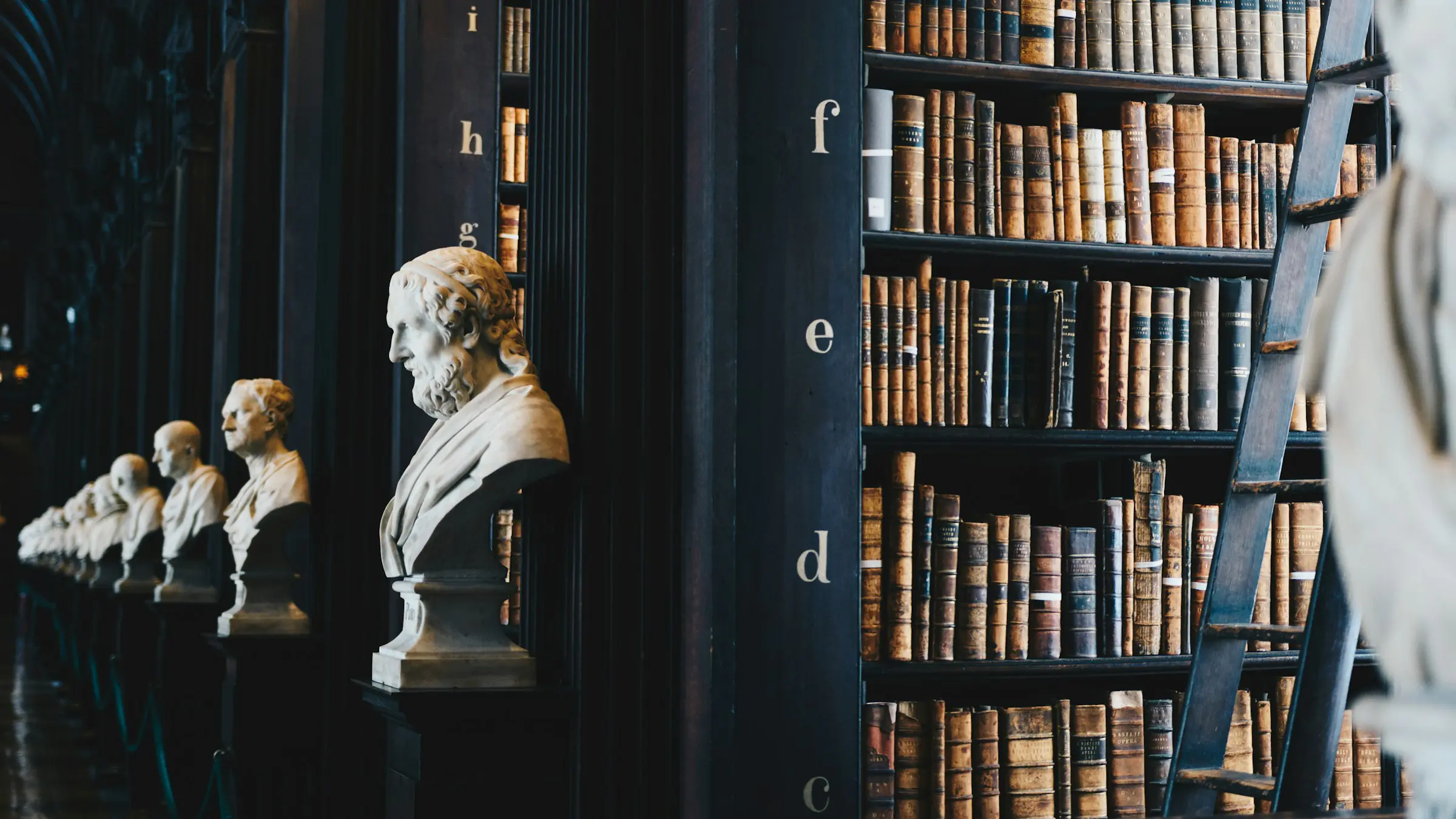 Library with marble busts and shelves of law books